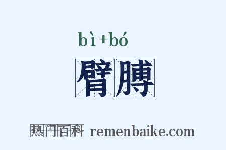 臂膊是什么意思的图片